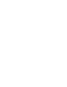 Columna Vertebral